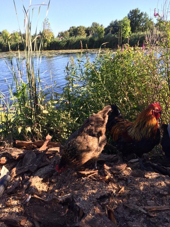 Studio Lakeside Spiegelplas Nederhorst den Berg Luaran gambar