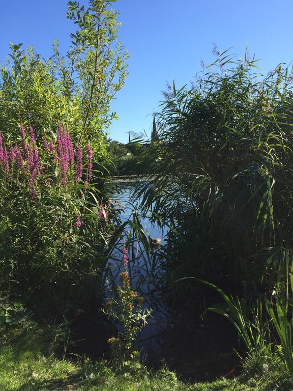 Studio Lakeside Spiegelplas Nederhorst den Berg Luaran gambar